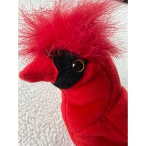 Ty Kids‎ OS Beanie Baby Mac Cardinal Red Plush Bird 1999 Collectible 4225